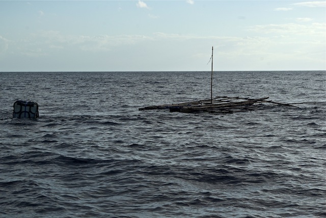alua-1033.jpg